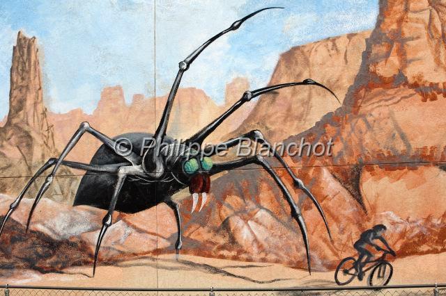 etats unis ouest 22.JPG - Araignée (Peinture murale)Utah, Etats-Unis